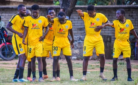 "We Will Approach Division One Seriously" Denmak FC Coach